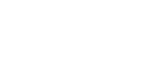 The Inclusive Economies Program 